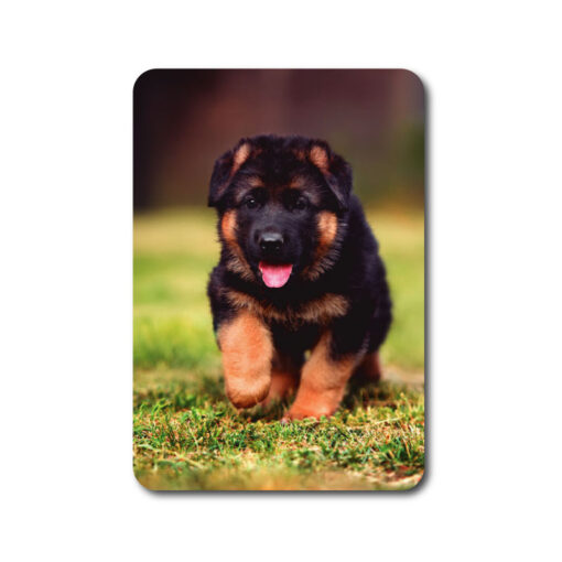 Calendario Bolsillo perro