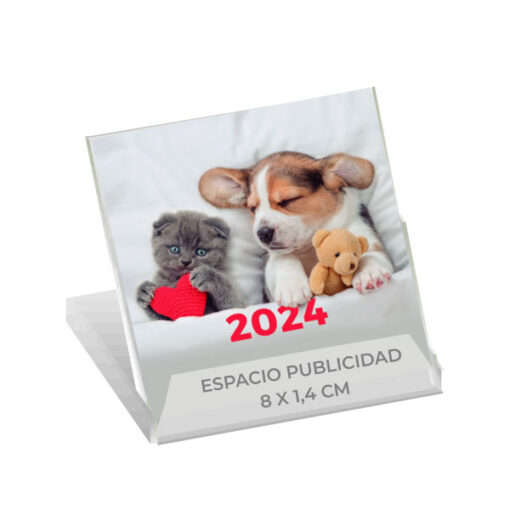 calendario cd